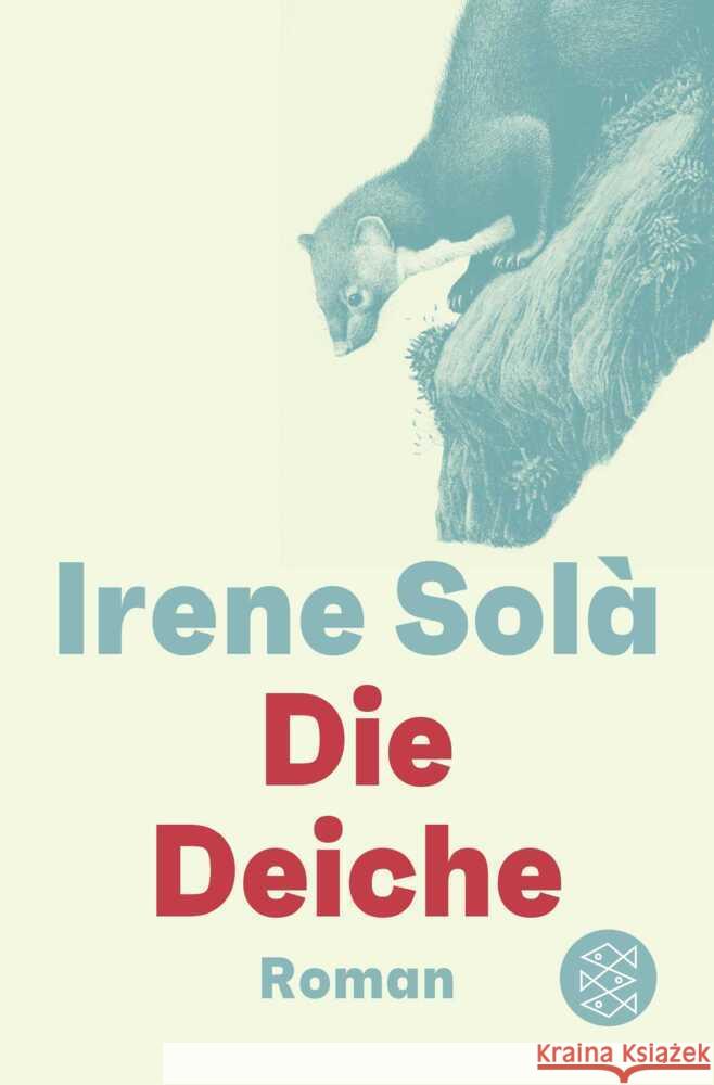 Die Deiche Solà, Irene 9783596720255