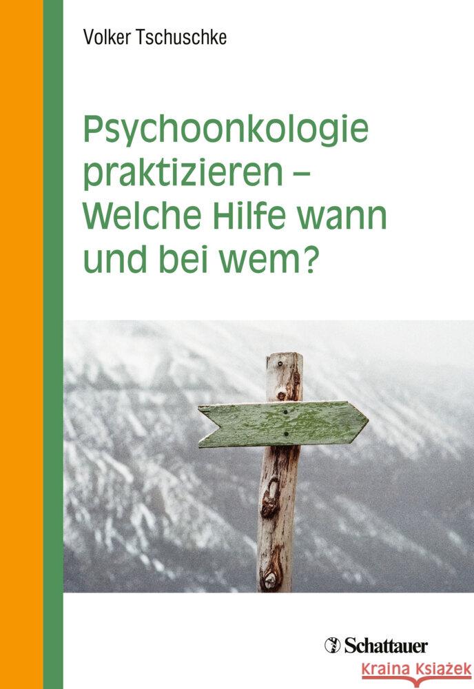 Psychoonkologie praktizieren - Welche Hilfe wann und bei wem? Tschuschke, Volker 9783608432091