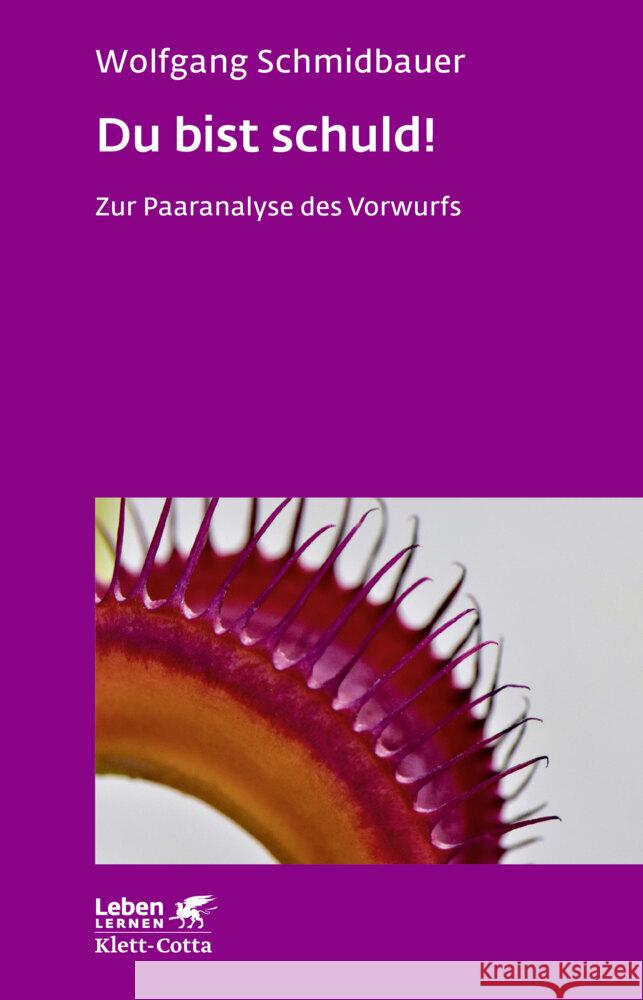 Du bist schuld! : Zur Paaranalyse des Vorwurfs Schmidbauer, Wolfgang 9783608892666 Klett-Cotta