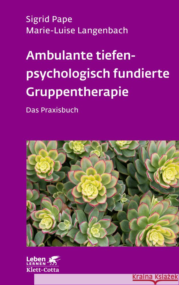 Ambulante tiefenpsychologisch fundierte Gruppentherapie (Leben Lernen, Bd. 335) Pape, Sigrid, Langenbach, Marie-Luise 9783608893076 Klett-Cotta