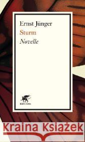 Sturm : Novelle. Nachwort: Schöttker, Detlev Jünger, Ernst 9783608960778