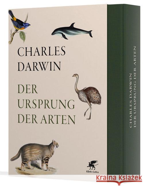 Der Ursprung der Arten Darwin, Charles 9783608961157 Klett-Cotta