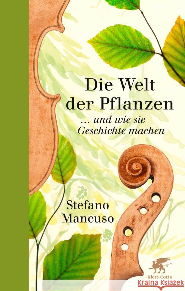 Die Welt der Pflanzen Mancuso, Stefano 9783608980769 Klett-Cotta