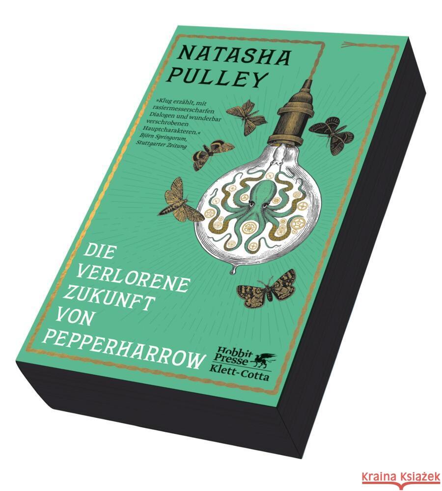 Die verlorene Zukunft von Pepperharrow Pulley, Natasha 9783608988178