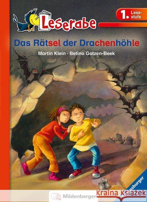 Das Rätsel der Drachenhöhle : Lesestufe 1 Klein, Martin 9783619144426