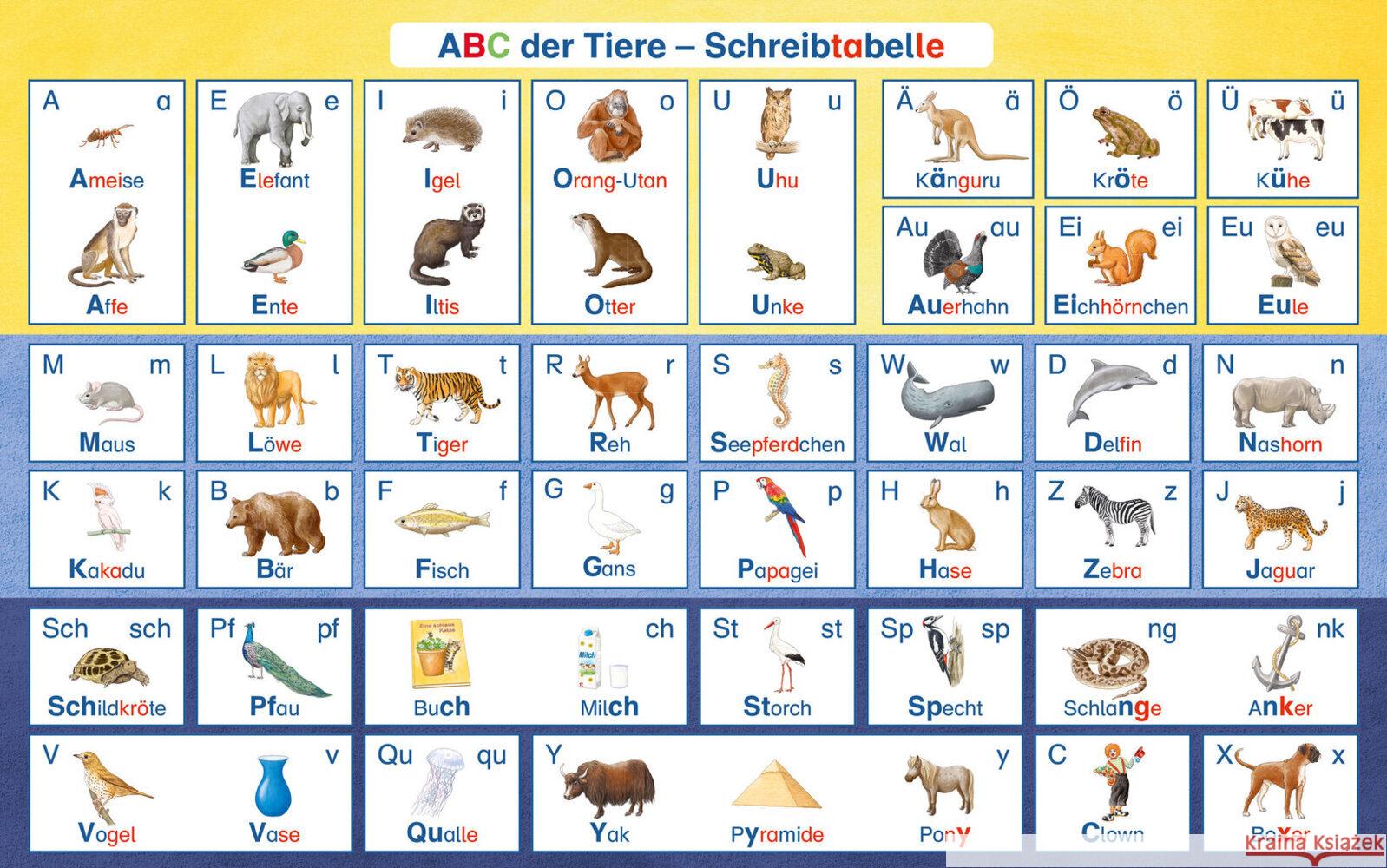 ABC der Tiere 1 Neubearbeitung - Schreibtabelle, VPE 10, 10 Teile Kuhn, Klaus, Hahn, Mareike, Mrowka-Nienstedt, Kerstin 9783619147861 Mildenberger