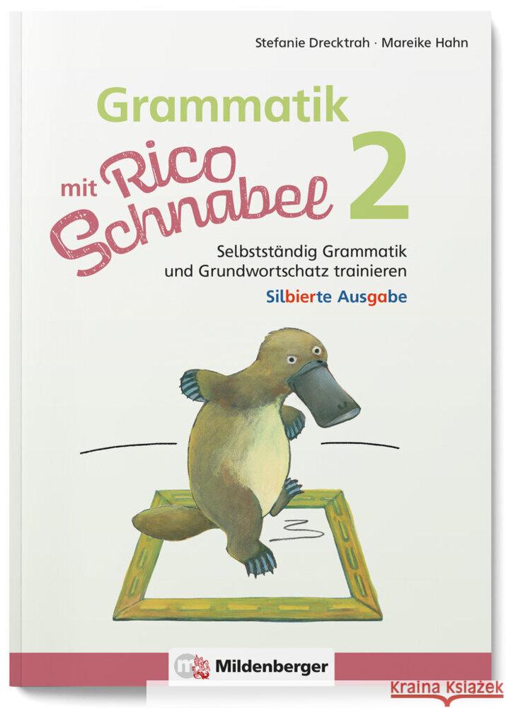 Grammatik mit Rico Schnabel, Klasse 2 - silbierte Ausgabe Drecktrah, Stefanie, Hahn, Mareike 9783619220441