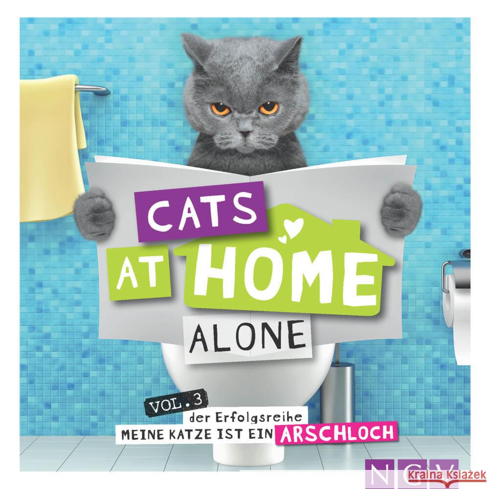 Cats at home alone - Das Geschenkbuch für Katzenliebhaber Bunte, Klaus 9783625189893