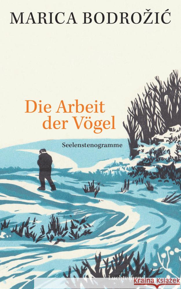 Die Arbeit der Vögel Bodrozic, Marica 9783630875941 Luchterhand Literaturverlag