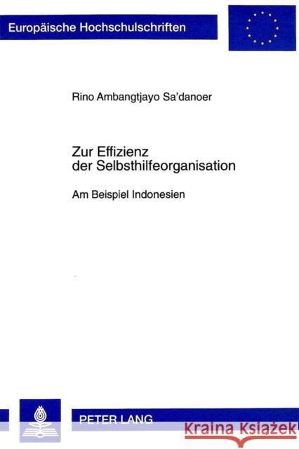 Zur Effizienz Der Selbsthilfeorganisation: Am Beispiel Indonesien Sa Danoer, Rino 9783631332528 Peter Lang Gmbh, Internationaler Verlag Der W