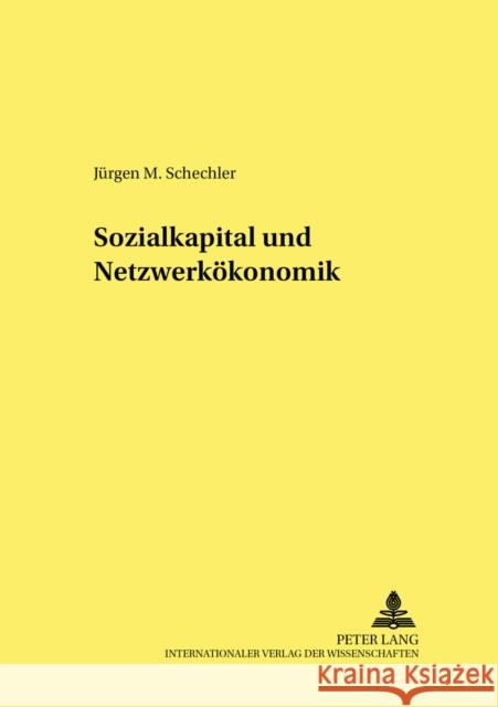 Sozialkapital Und Netzwerkoekonomik Hagemann, Harald 9783631392355