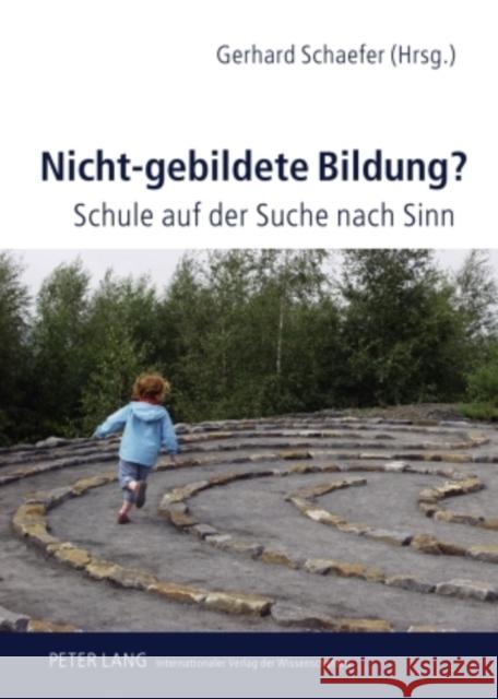 Nicht-Gebildete Bildung?: Schule Auf Der Suche Nach Sinn Schaefer, Gerhard 9783631586402 Lang, Peter, Gmbh, Internationaler Verlag Der