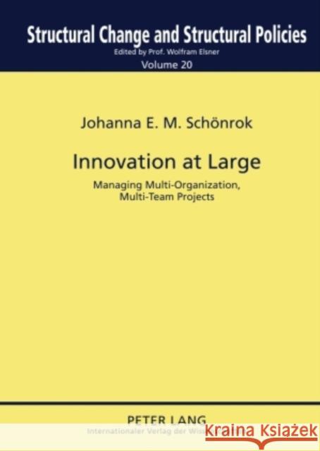 Innovation at Large: Managing Multi-Organization, Multi-Team Projects Elsner, Wolfram 9783631602171