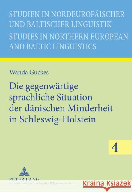 Die Gegenwaertige Sprachliche Situation Der Daenischen Minderheit in Schleswig-Holstein Sarhimaa, Anneli 9783631613917