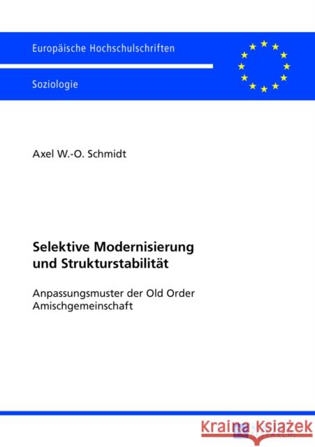 Selektive Modernisierung Und Strukturstabilitaet: Anpassungsmuster Der Old Order Amischgemeinschaft Schmidt, Axel 9783631641927 Peter Lang Gmbh, Internationaler Verlag Der W