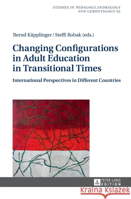 Changing Configurations in Adult Education in Transitional Times: International Perspectives in Different Countries Käpplinger, Bernd 9783631642726
