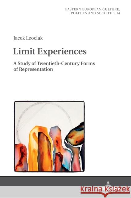 Limit Experiences: A Study of Twentieth-Century Forms of Representation Grudzinska-Gross, Irena 9783631672747