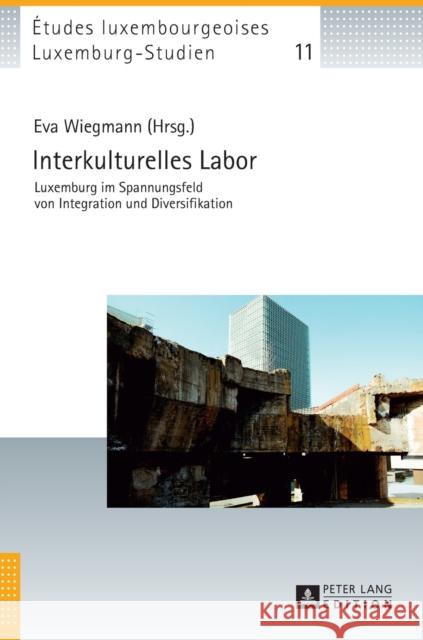 Interkulturelles Labor: Luxemburg Im Spannungsfeld Von Integration Und Diversifikation Gilles, Peter 9783631674925