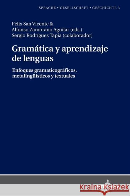 Gramática Y Aprendizaje de Lenguas: Enfoques Gramaticográficos, Metalingueisticos Y Textuales Borreguero Zuloaga, Margarita Natalia 9783631746066