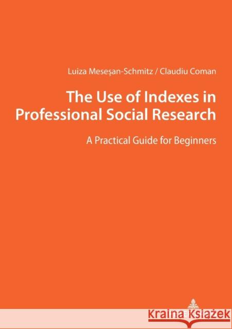 The Use of Indexes in Professional Social Researches Luiza Mesesan-Schmitz Claudiu Coman  9783631827284 Peter Lang AG