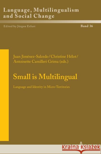 Small Is Multilingual: Language and Identity in Micro-Territories Erfurt, Jürgen 9783631833414 Peter Lang AG