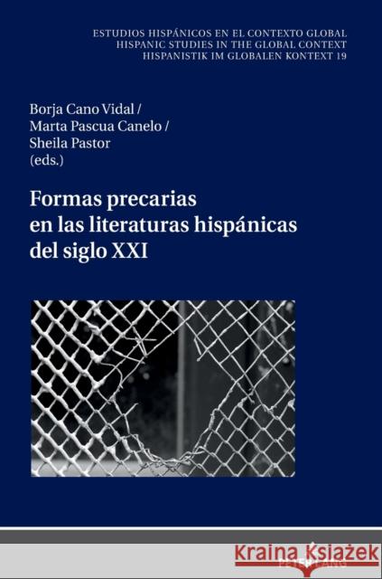 Formas Precarias En Las Literaturas Hispánicas del Siglo XXI Cano Vidal, Borja 9783631844588 Peter Lang AG