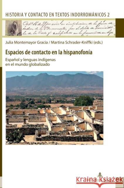 Espacios de Contacto En La Hispanofonía: Español Y Lenguas Indígenas En El Mundo Globalizado Schrader-Kniffki, Martina 9783631853924