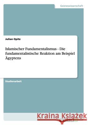 Islamischer Fundamentalismus - Die fundamentalistische Reaktion am Beispiel Ägyptens Julian Opitz 9783638665735