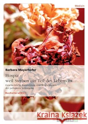 Hospiz - weil Sterben ein Teil des Lebens ist : Geschichtliche Entwicklung und Möglichkeiten der palliativen Versorgung Barbara Mayerhofer 9783638685313 Grin Verlag