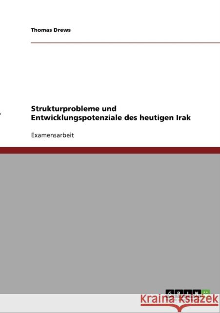 Strukturprobleme und Entwicklungspotenziale des heutigen Irak Thomas Drews 9783638693875 Grin Verlag