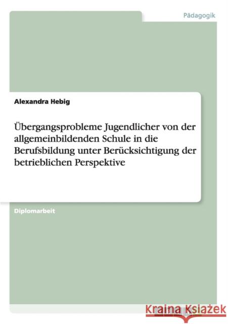 Übergangsprobleme Jugendlicher in die Berufsbildung Hebig, Alexandra 9783638700641 Grin Verlag