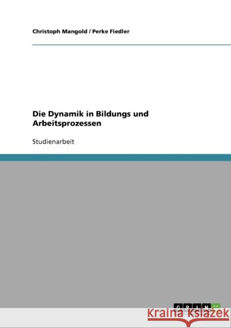 Die Dynamik in Bildungs und Arbeitsprozessen Christoph Mangold Perke Fiedler 9783638723664 Grin Verlag