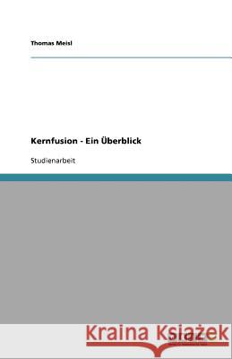 Kernfusion. Ein Überblick Thomas Meisl 9783638760249 Grin Verlag