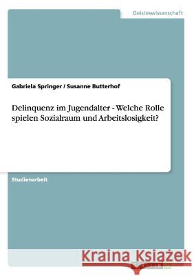 Delinquenz im Jugendalter - Welche Rolle spielen Sozialraum und Arbeitslosigkeit? Gabriela Springer Susanne Butterhof 9783638880657 Grin Verlag