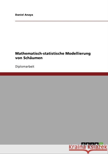 Mathematisch-statistische Modellierung von Schäumen Anaya, Daniel 9783638883221 Grin Verlag