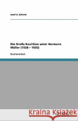 Die Große Koalition unter Hermann Müller (1928 - 1930) Josef A. Schmid 9783638888677