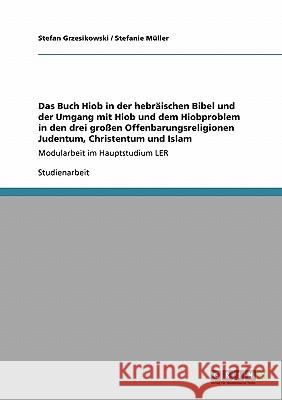 Das Buch Hiob in der hebräischen Bibel. Hiob und das Hiobproblem im Judentum, Christentum und Islam. Müller, Stefanie 9783638921848 Grin Verlag