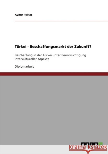 Türkei - Beschaffungsmarkt der Zukunft?: Beschaffung in der Türkei unter Berücksichtigung interkultureller Aspekte Pektas, Aynur 9783638926287