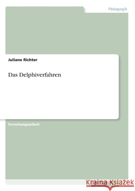 Das Delphiverfahren Juliane Richter 9783638934022 Grin Verlag