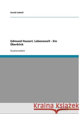 Edmund Husserl, Lebenswelt - Ein Überblick David Liebelt 9783638956659 Grin Verlag