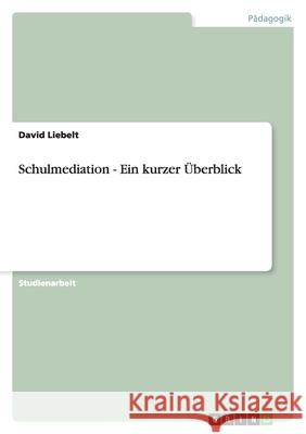 Schulmediation - Ein kurzer Überblick David Liebelt 9783638956673 Grin Verlag