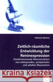 Zeitlich-räumliche Entwicklung der Reninexpression : Dreidimensionale Rekonstruktion von embryonalen, postpartalen und adulten Mausnieren Machura, Katharina 9783639065619