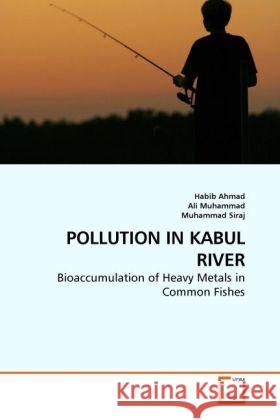 Pollution in Kabul River Habib Ahmad, Ali Muhammad, Muhammad Siraj 9783639089240