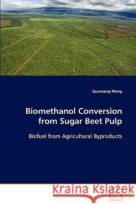 Biomethanol Conversion from Sugar Beet Pulp Quanzeng Wang 9783639091205 VDM Verlag