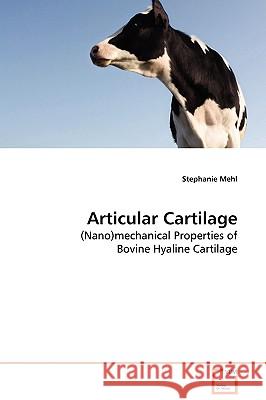 Articular Cartilage Stephanie Mehl 9783639132205 VDM Verlag