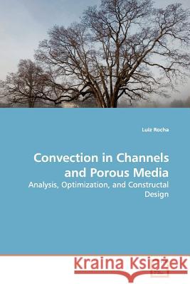 Convection in Channels and Porous Media Luiz Rocha 9783639140828 VDM Verlag