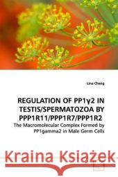 REGULATION OF PP1 2 IN TESTIS/SPERMATOZOA BY  PPP1R11/PPP1R7/PPP1R2 : The Macromolecular Complex Formed by PP1gamma2 in Male Germ Cells Cheng, Lina 9783639141559