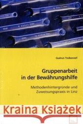 Gruppenarbeit in der Bewährungshilfe : Methodenhintergründe und Zuweisungspraxis in Linz Treibenreif, Gudrun 9783639142679