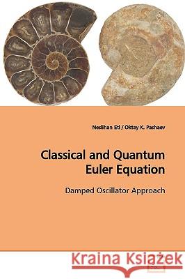 Classical and Quantum Euler Equation Neslihan Eti 9783639153187 VDM Verlag