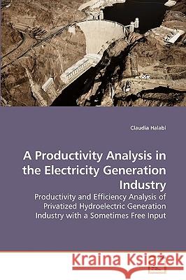 A Productivity Analysis in the Electricity Generation Industry Claudia Halabi 9783639158915 VDM Verlag